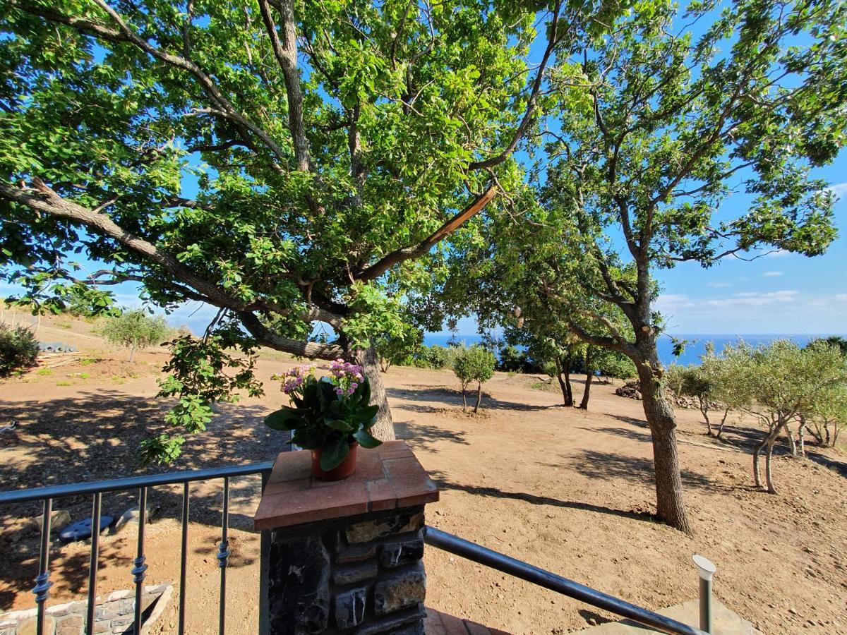 Agriturismo Le Terre Di Venere Acciaroli Bagian luar foto