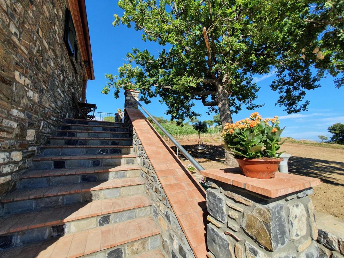Agriturismo Le Terre Di Venere Acciaroli Bagian luar foto