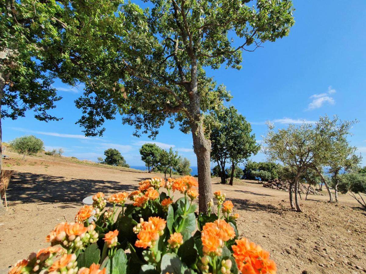 Agriturismo Le Terre Di Venere Acciaroli Bagian luar foto