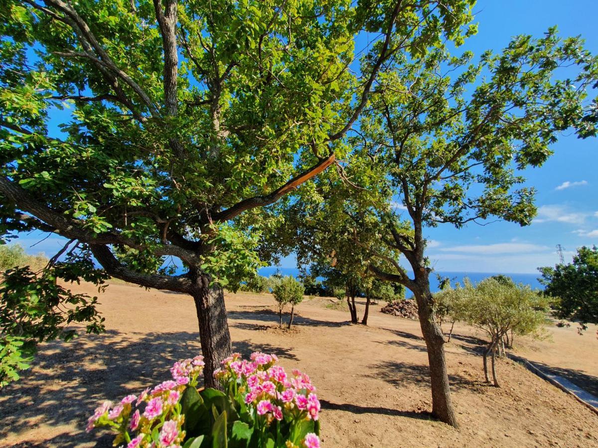 Agriturismo Le Terre Di Venere Acciaroli Bagian luar foto