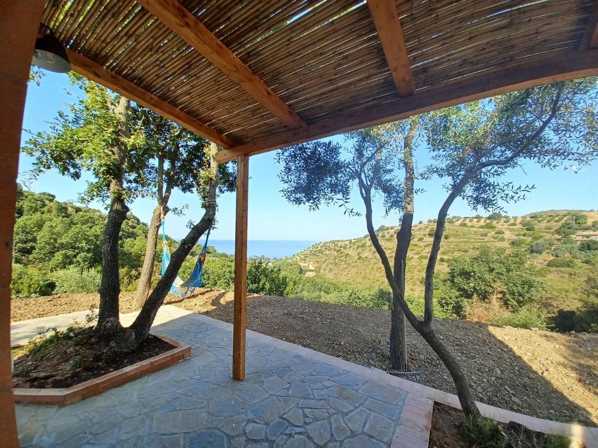 Agriturismo Le Terre Di Venere Acciaroli Bagian luar foto