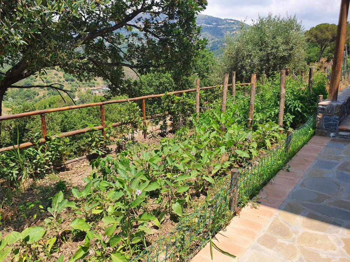 Agriturismo Le Terre Di Venere Acciaroli Bagian luar foto