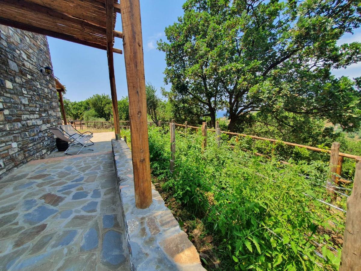Agriturismo Le Terre Di Venere Acciaroli Bagian luar foto