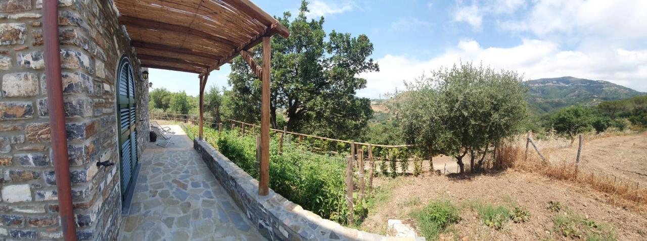 Agriturismo Le Terre Di Venere Acciaroli Bagian luar foto