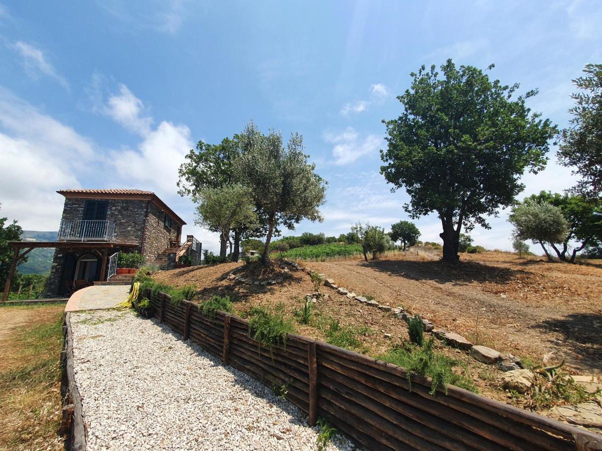 Agriturismo Le Terre Di Venere Acciaroli Bagian luar foto