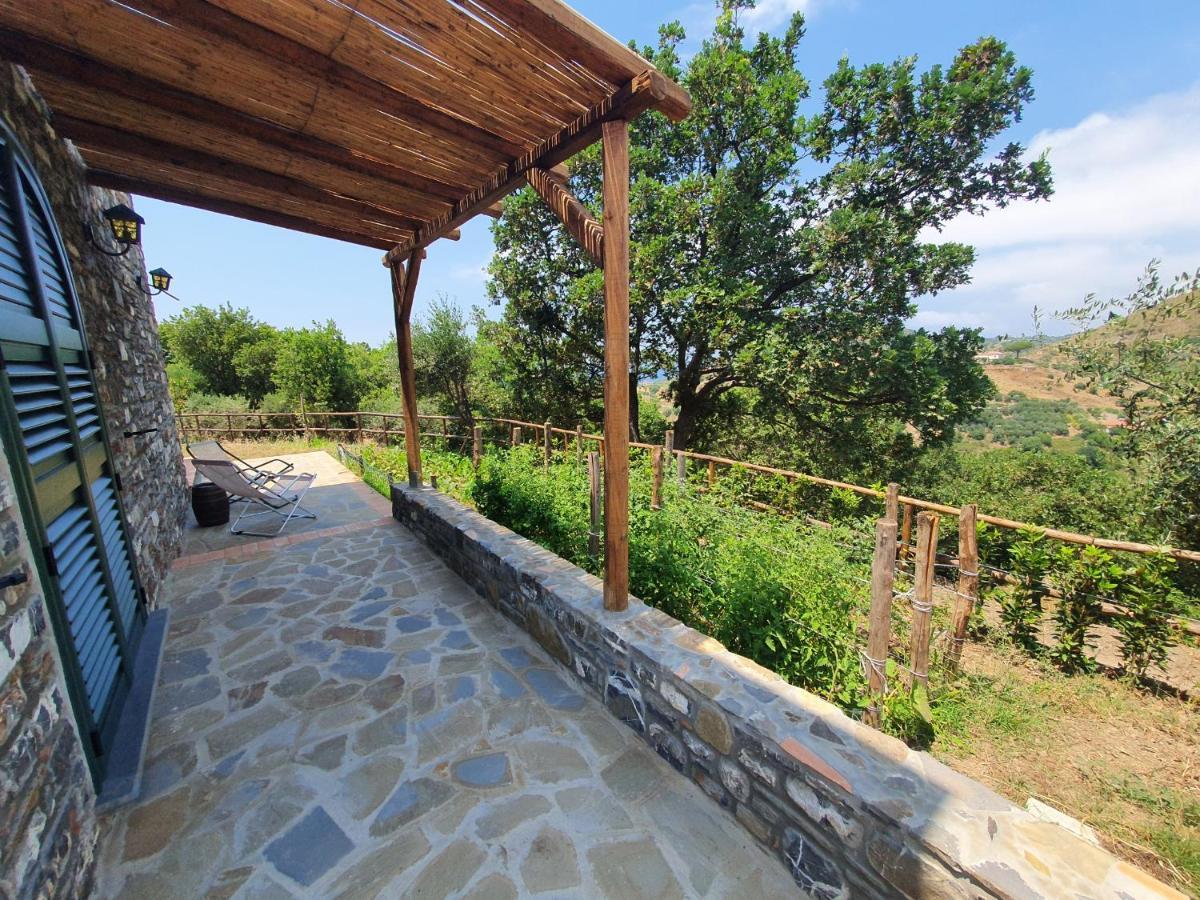 Agriturismo Le Terre Di Venere Acciaroli Bagian luar foto