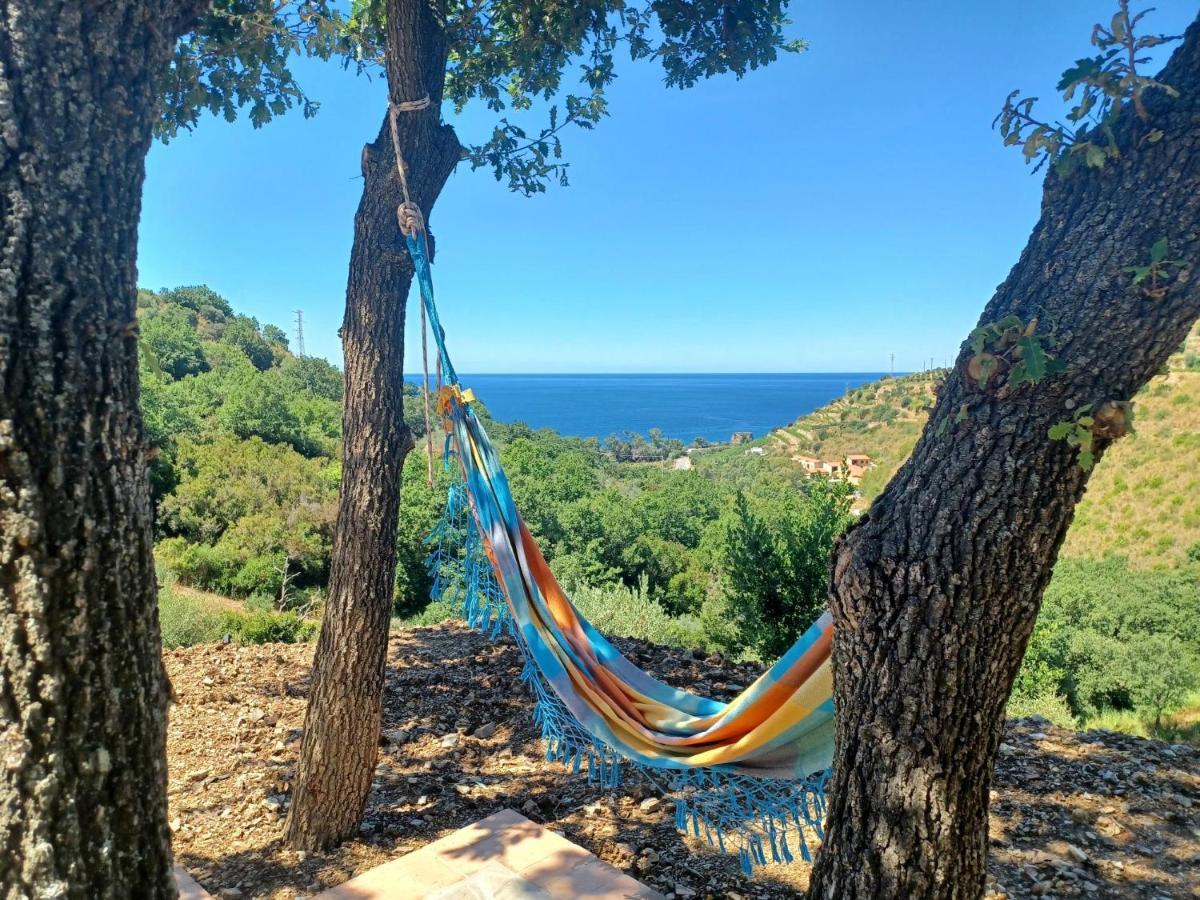 Agriturismo Le Terre Di Venere Acciaroli Bagian luar foto