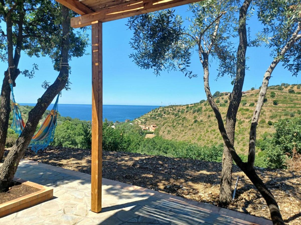 Agriturismo Le Terre Di Venere Acciaroli Bagian luar foto