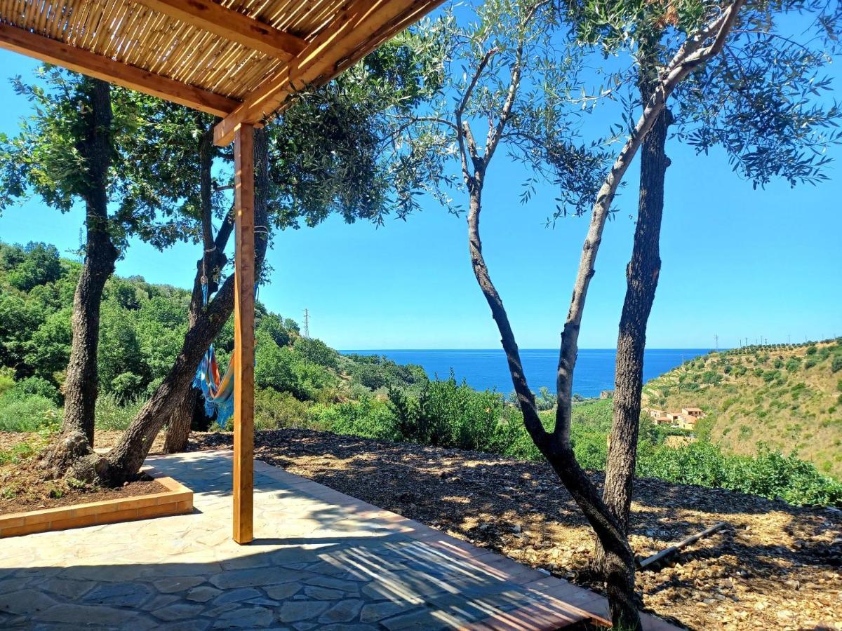 Agriturismo Le Terre Di Venere Acciaroli Bagian luar foto