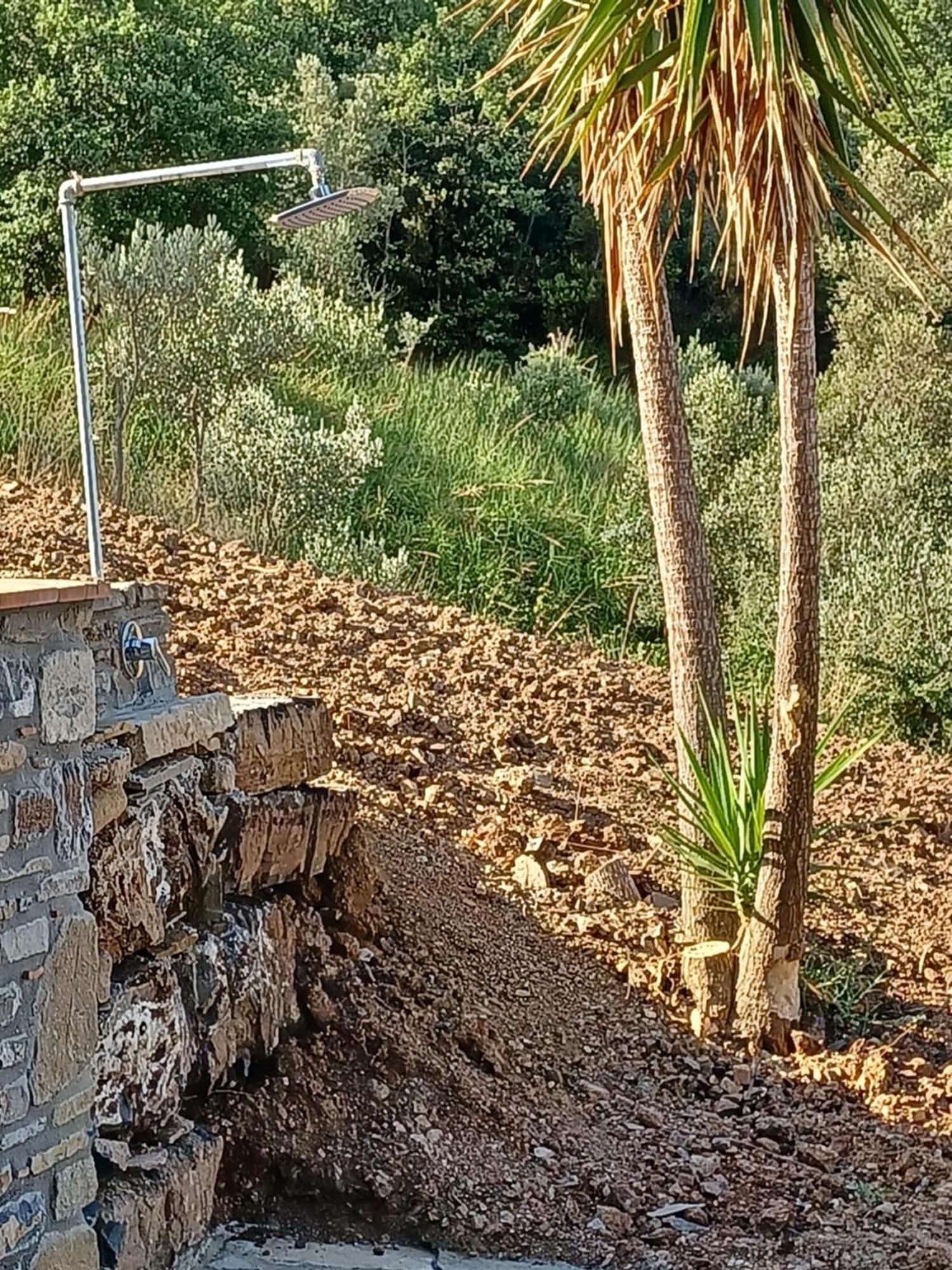 Agriturismo Le Terre Di Venere Acciaroli Ruang foto